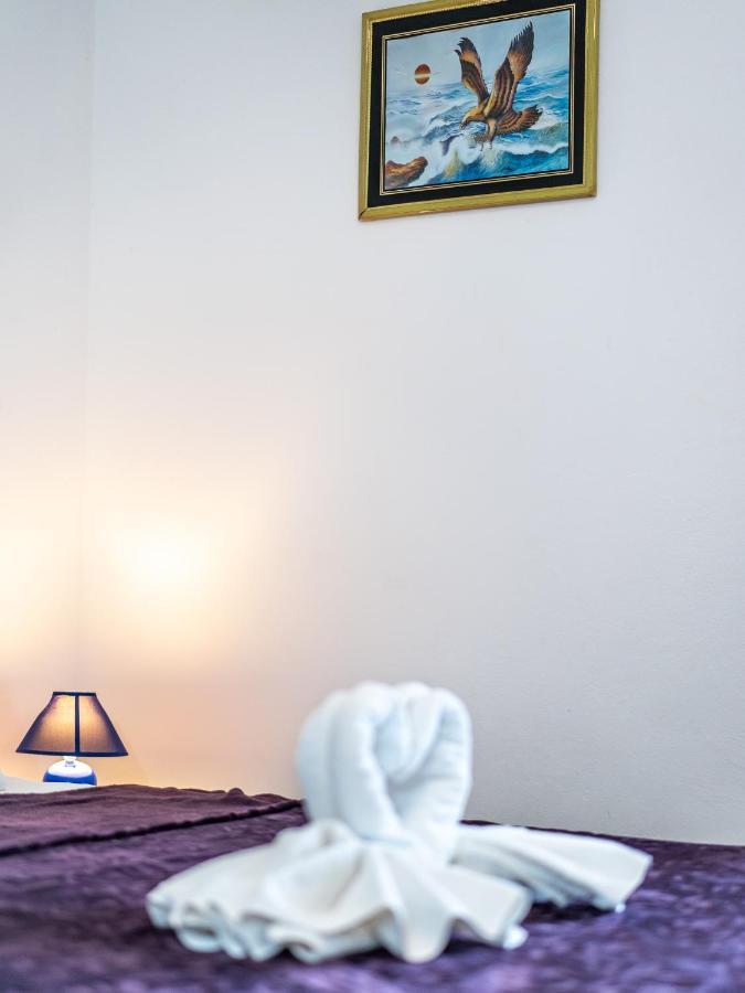 Apartmani Vinko ビビニェ エクステリア 写真